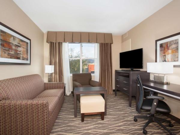Homewood Suites by Hilton South Las Vegas : photo 4 de la chambre suite 1 chambre lit king-size - non-fumeurs