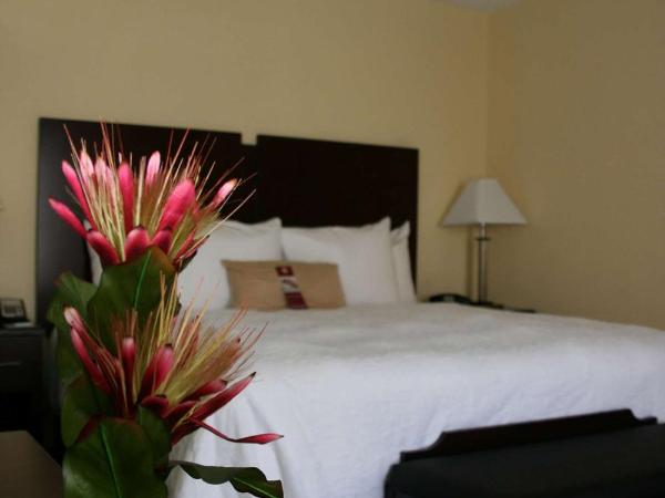 Hampton Inn & Suites Orlando-John Young Parkway/South Park : photo 2 de la chambre chambre lit king-size - non-fumeurs