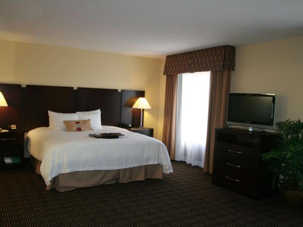 Hampton Inn & Suites Orlando-John Young Parkway/South Park : photo 2 de la chambre suite studio lit king-size - non-fumeurs