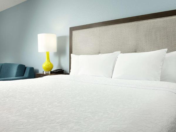 Hampton Inn Orlando Near Universal Blv/International Dr : photo 3 de la chambre chambre lit king-size