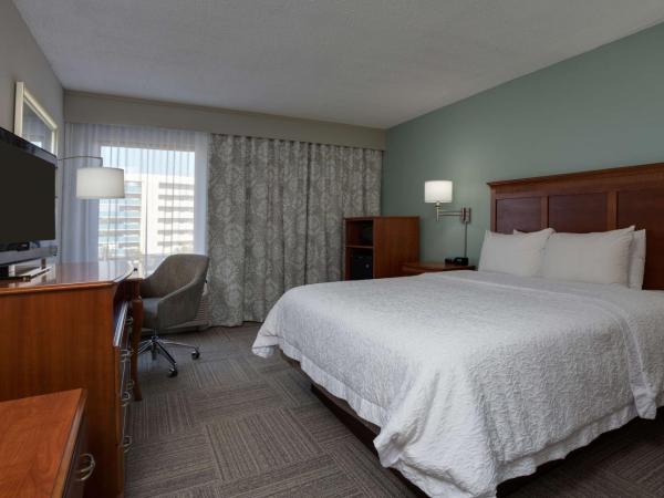 Hampton Inn Harbourgate : photo 2 de la chambre chambre lit queen-size - non-fumeurs