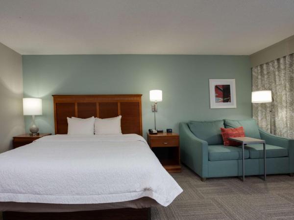 Hampton Inn Harbourgate : photo 2 de la chambre chambre lit king-size exécutive avec canapé-lit - non-fumeurs