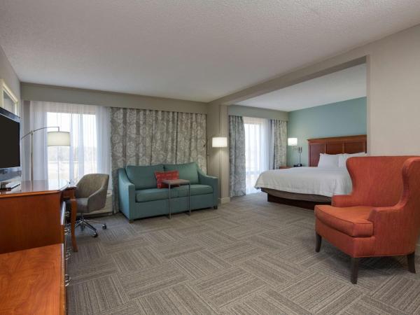 Hampton Inn Harbourgate : photo 2 de la chambre suite studio lit king-size avec canapé-lit – non-fumeurs