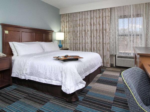 Hampton Inn Tucson-Airport : photo 1 de la chambre chambre lit king-size avec douche accessible en fauteuil roulant - adaptée aux personnes à mobilité réduite/non-fumeurs