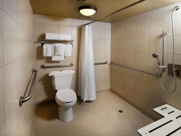 DoubleTree Suites by Hilton Tucson-Williams Center : photo 8 de la chambre suite 1 chambre lit king-size avec douche accessible en fauteuil roulant - adaptée aux personnes à mobilité réduite