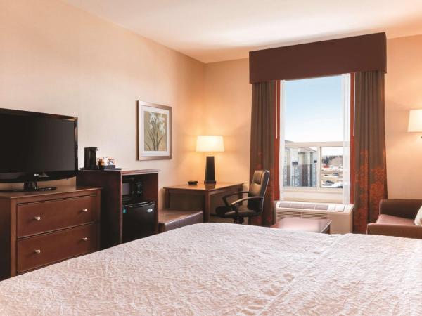 Hampton Inn by Hilton Edmonton South : photo 1 de la chambre suite studio lit king-size avec canapé-lit – non-fumeurs
