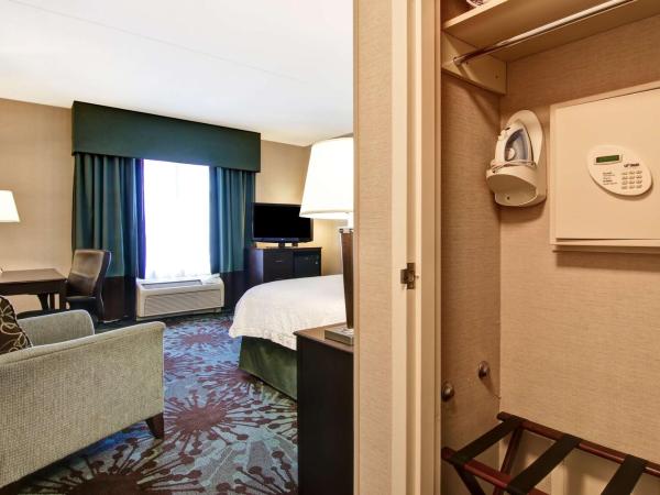 Hampton Inn by Hilton Toronto Airport Corporate Centre : photo 1 de la chambre chambre lit king-size - non-fumeurs