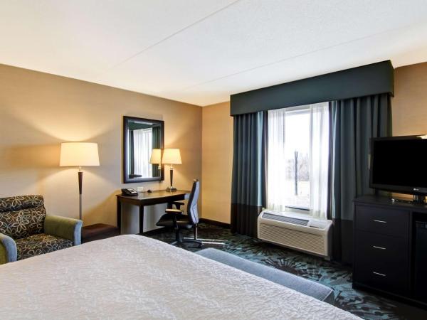 Hampton Inn by Hilton Toronto Airport Corporate Centre : photo 5 de la chambre chambre lit king-size - non-fumeurs