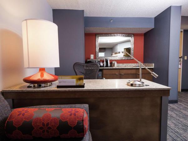 Hilton Garden Inn Atlanta Marietta : photo 2 de la chambre suite junior lit king-size avec canapé-lit