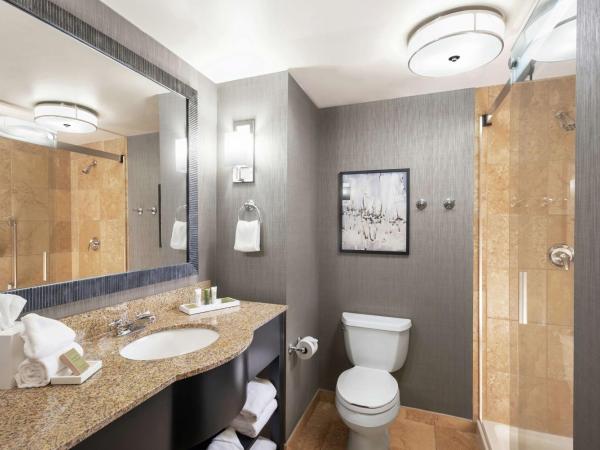 Hilton Columbia Center : photo 4 de la chambre chambre lit king-size