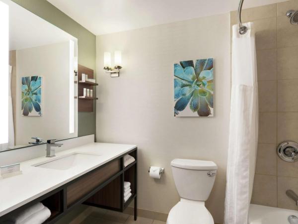 Hilton Garden Inn Charlotte/Ayrsley : photo 5 de la chambre chambre lit king-size