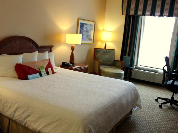 Hilton Garden Inn Charlotte Pineville : photo 6 de la chambre chambre lit king-size