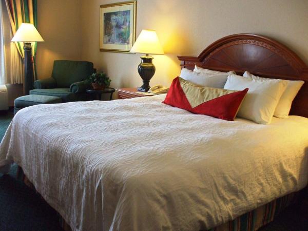 Hilton Garden Inn Columbus Airport : photo 2 de la chambre chambre lit king-size