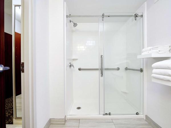 Hilton Garden Inn Columbus/Polaris : photo 6 de la chambre chambre lit king-size