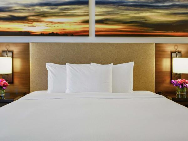 Hilton Dallas-Park Cities : photo 1 de la chambre chambre lit king-size