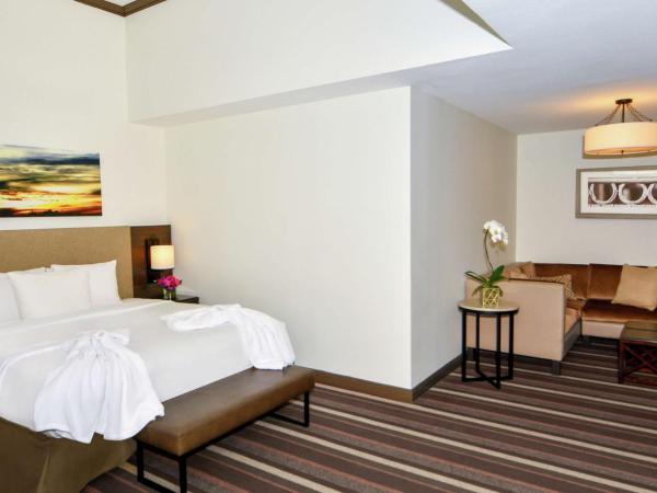 Hilton Dallas-Park Cities : photo 3 de la chambre suite junior lit king-size