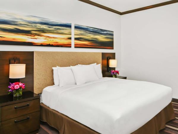 Hilton Dallas-Park Cities : photo 2 de la chambre chambre lit king-size avec baignoire accessible aux personnes à mobilité réduite
