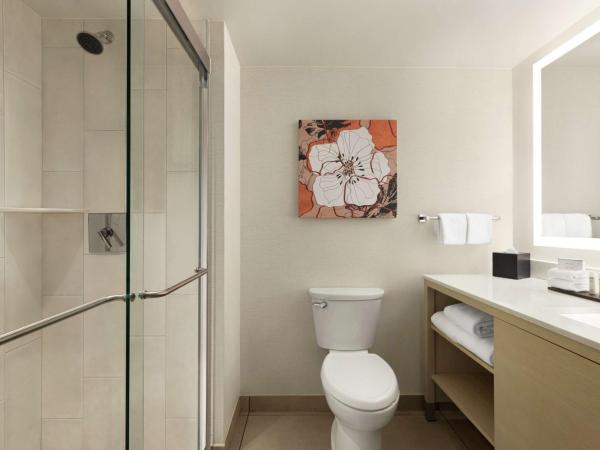 Embassy Suites by Hilton Denver International Airport : photo 4 de la chambre studio lit king-size