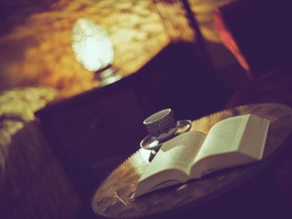 Riad La Maison Verte : photo 6 de la chambre chambre lits jumeaux lalla neftaha