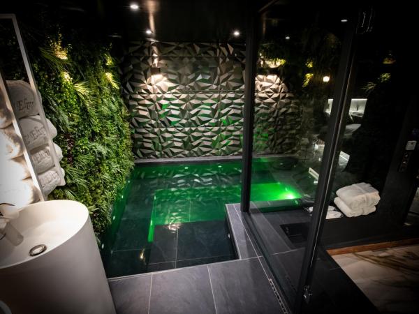 Élixir : photo 9 de la chambre chambre deluxe