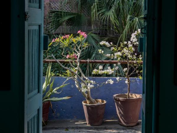 Bristows Haveli Homestay : photo 7 de la chambre chambre double avec balcon