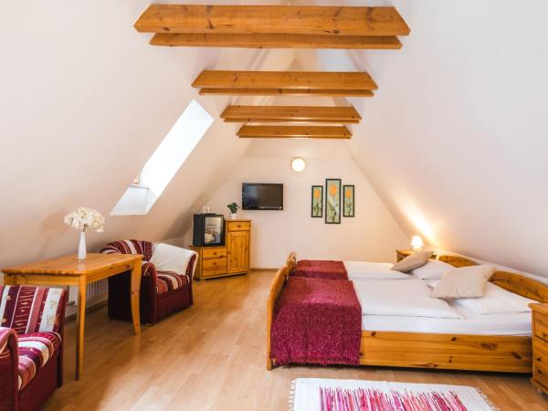 Hotel Zlaty Andel : photo 5 de la chambre chambre double