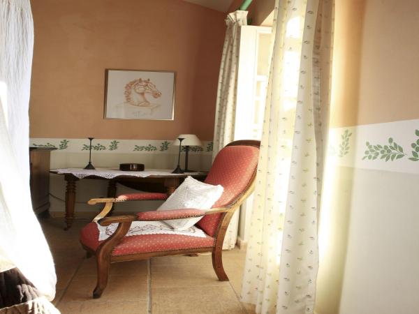 MAS DES FIGUES - Mas XVIII siècle - Piscine - très calme - Alpilles Saint Rémy de Provence - brunch méditerranéen salé sucré cuisine faite maison - ferme auberge agritourisme - Biologique FRBio potager bio huile d'olive bio jardin roseraie Biodiversité - : photo 5 de la chambre chambre double - vue sur piscine