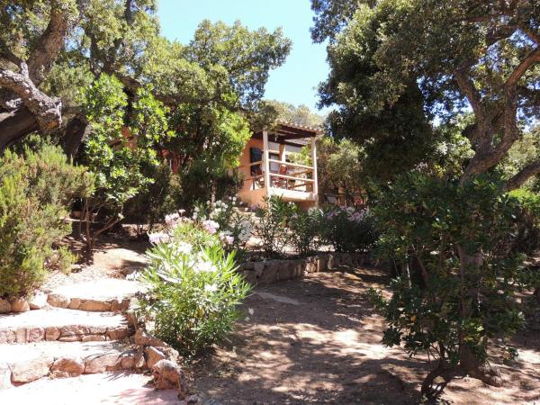 Bungalows Du Maquis : photo 9 de la chambre bungalow - vue sur jardin