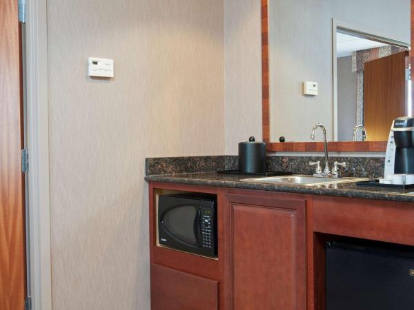Hilton Garden Inn Indianapolis South/Greenwood : photo 3 de la chambre suite junior avec 2 lits queen-size