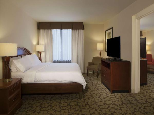 Hilton Garden Inn Virginia Beach Town Center : photo 3 de la chambre suite 1 chambre lit king-size avec canapé-lit