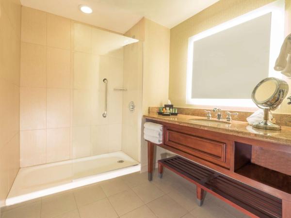 Hilton Phoenix Airport : photo 6 de la chambre chambre lit king-size standard