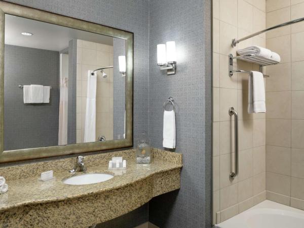 Hilton Garden Inn Phoenix North Happy Valley : photo 6 de la chambre chambre lit king-size avec baignoire accessible aux personnes à mobilité réduite - adaptée aux personnes à mobilité réduite