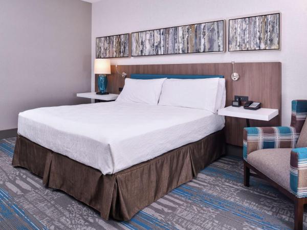 Hilton Garden Inn Salt Lake City Downtown : photo 6 de la chambre chambre lit king-size - pour personnes malentendantes