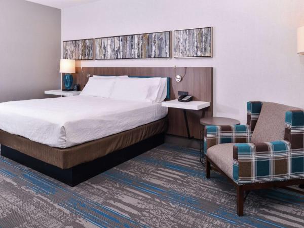 Hilton Garden Inn Salt Lake City Downtown : photo 2 de la chambre chambre lit king-size