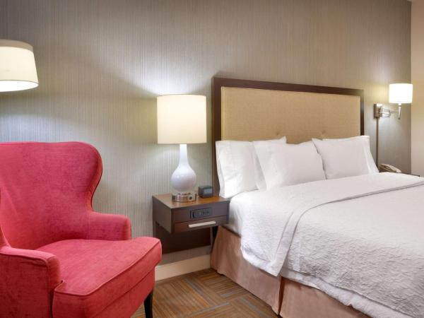 Hampton Inn Salt Lake City Central : photo 4 de la chambre chambre lit king-size - non-fumeurs