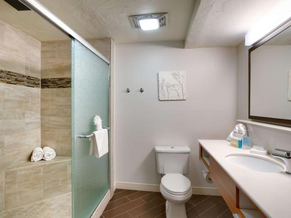 Hampton Inn Salt Lake City Central : photo 5 de la chambre suite lit king-size – non-fumeurs