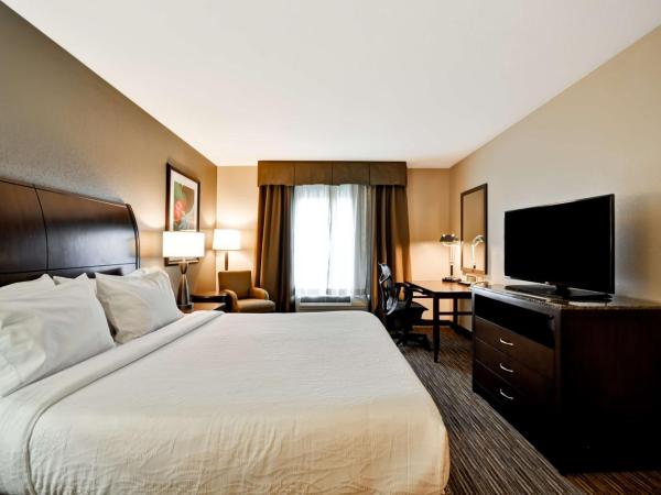 Hilton Garden Inn Tampa North : photo 1 de la chambre chambre lit king-size