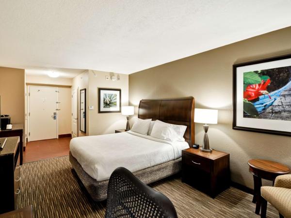 Hilton Garden Inn Tampa North : photo 2 de la chambre chambre lit king-size