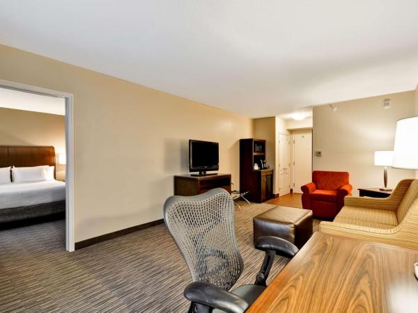 Hilton Garden Inn Tampa North : photo 3 de la chambre suite lit king-size