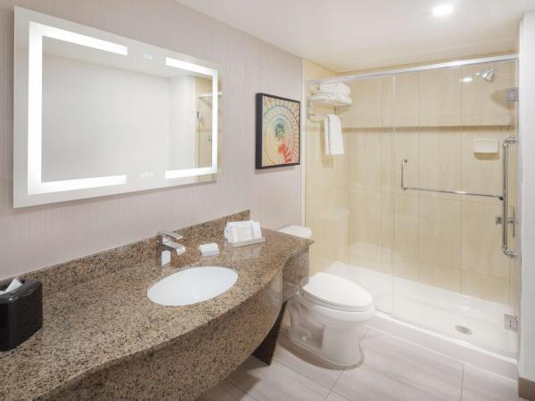 Hilton Garden Inn Montreal Centre-Ville : photo 4 de la chambre chambre lit king-size