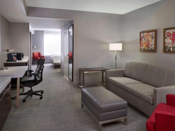 Hilton Garden Inn Toronto Airport West/Mississauga : photo 4 de la chambre suite 1 chambre lit king-size