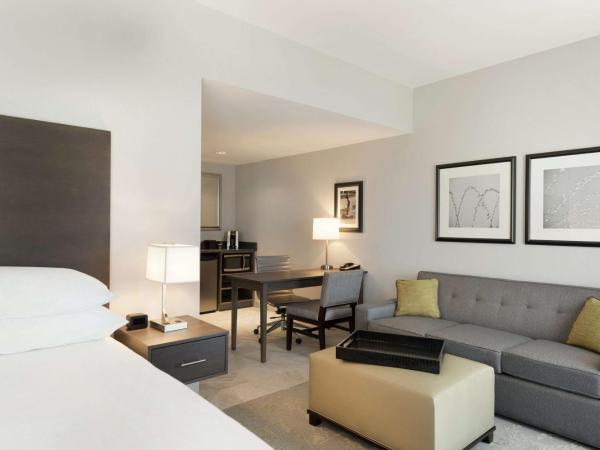 Embassy Suites Charlotte/Ayrsley : photo 1 de la chambre suite studio lit king-size