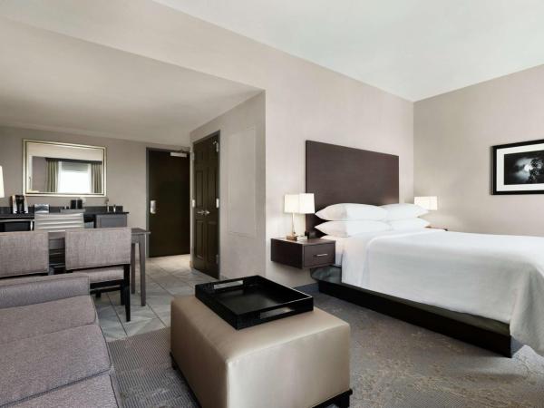 Embassy Suites Charlotte/Ayrsley : photo 3 de la chambre suite studio lit king-size