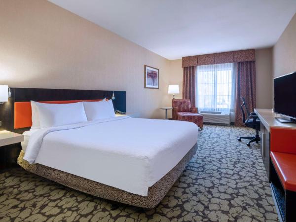 Hilton Garden Inn Las Vegas Strip South : photo 4 de la chambre chambre lit king-size