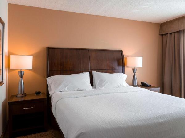 Hilton Garden Inn Orlando East - UCF Area : photo 1 de la chambre chambre lit king-size