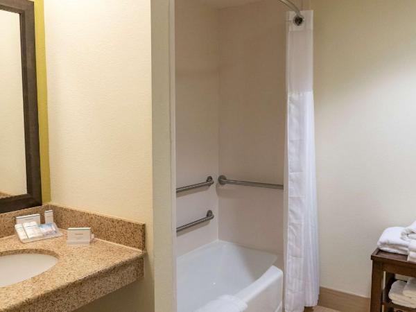 Hilton Garden Inn Orlando East - UCF Area : photo 5 de la chambre chambre lit king-size avec baignoire accessible aux personnes à mobilité réduite - adaptée aux personnes à mobilité réduite