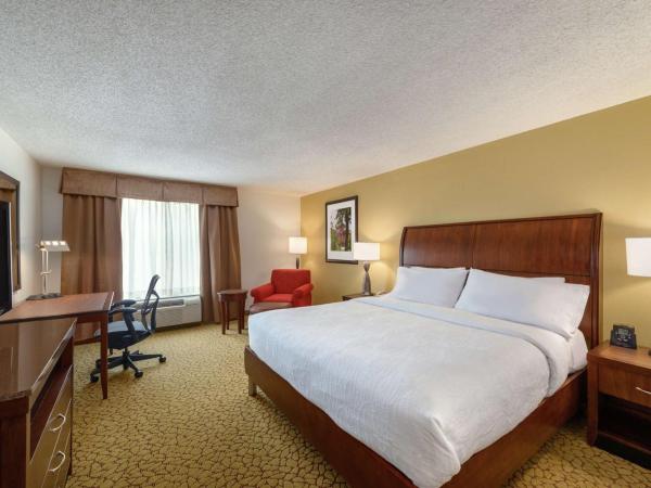 Hilton Garden Inn Orlando East - UCF Area : photo 4 de la chambre chambre lit king-size