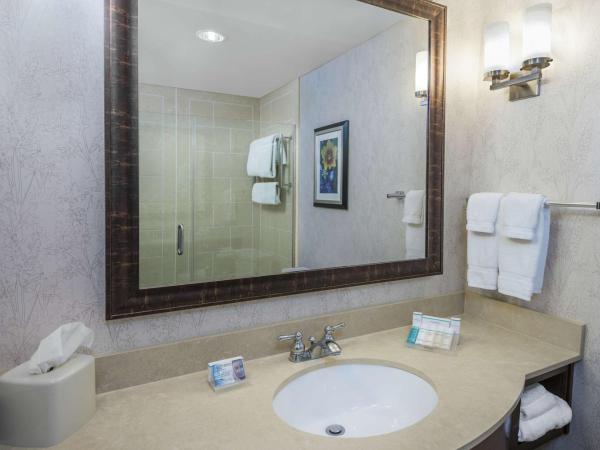 Hilton Garden Inn San Antonio/Rim Pass Drive : photo 4 de la chambre chambre lit king-size