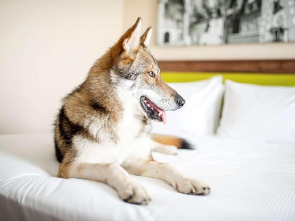 Hampton by Hilton Krakow : photo 3 de la chambre chambre lit queen-size 