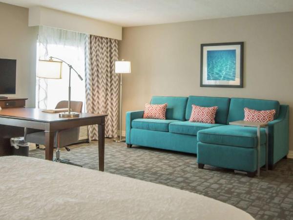 Hampton Inn & Suites Orlando near SeaWorld : photo 2 de la chambre suite studio lit king-size - non-fumeurs